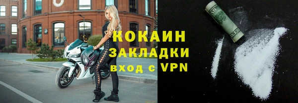 тгк Инсар