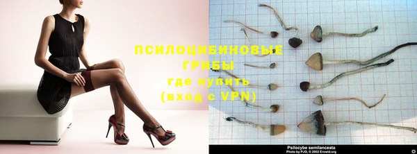 ПСИЛОЦИБИНОВЫЕ ГРИБЫ Абдулино