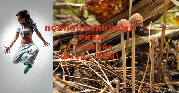 ПСИЛОЦИБИНОВЫЕ ГРИБЫ Абдулино