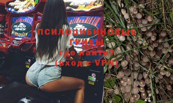 ПСИЛОЦИБИНОВЫЕ ГРИБЫ Абдулино