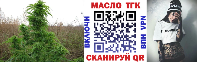 ТГК вейп  Шенкурск 