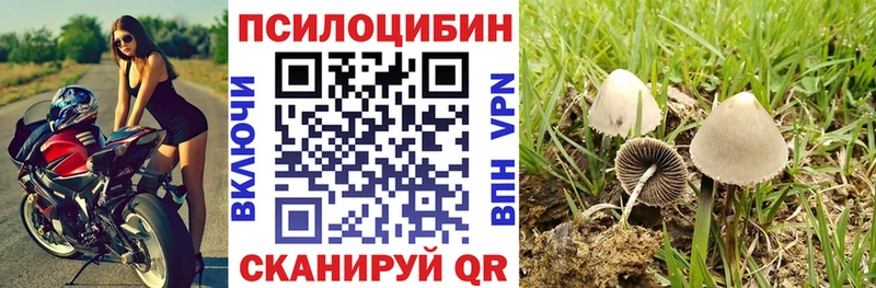 сайты даркнета официальный сайт Шенкурск OMG рабочий сайт Псилоцибиновые грибы прущие грибы наркота